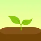 Forest v4.73.2 MOD APK [Premium Unlocked] for AndroidForest v4.73.2 MOD APK [Premium Unlocked] Android için