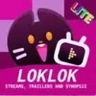 LokLok Premium APK v2.9.6 [Kilidi Açılmış VIP, Reklamsız] for Android