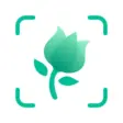 PictureThis v3.80 MOD APK (Premium Açık) for android
