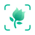 PictureThis v3.80 MOD APK (Premium Açık) for android