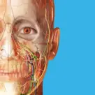 İnsan Anatomisi Atlası 2024 v2024.00.005 MOD APK [Tüm Kilidi Açıldı]