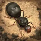 The Ants: Underground Kingdom v3.39.0 MOD APK (Sınırsız Para/Yuvaları)