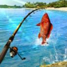 Fishing Clash MOD APK v1.0.294 [Sınırsız Para/Takılar/Mod Menü]