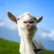 Goat Simulator v2.18.2 MOD APK [Tümünü Açık, Sınırsız Para]